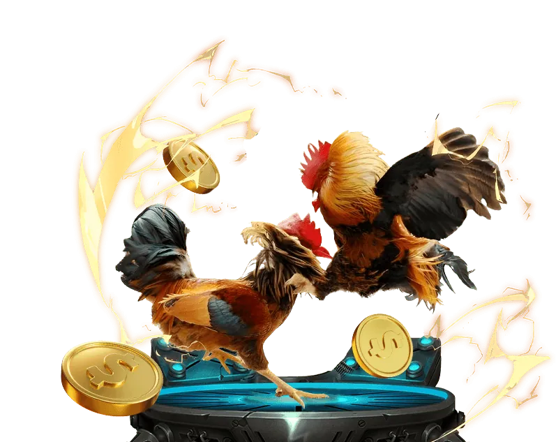 Đội ngũ hỗ trợ khách hàng B29